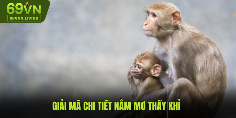 Giải mã chi tiết chiêm bao nằm mơ thấy khỉ