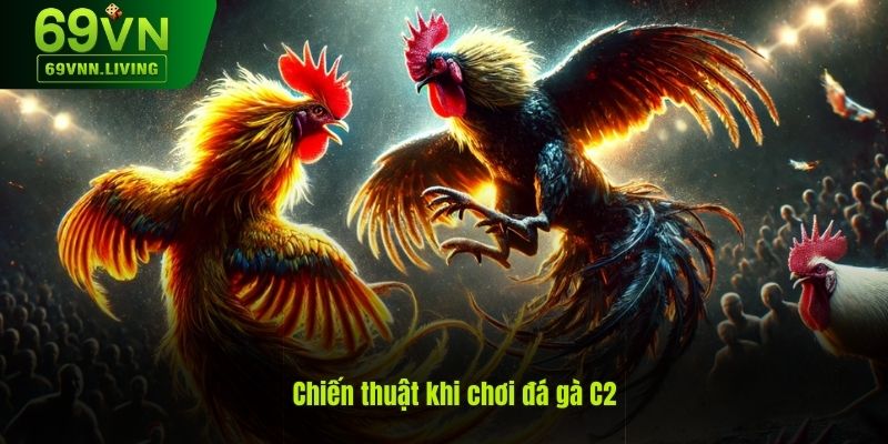 Chia sẻ các chiến thuật khi chơi đá gà C2