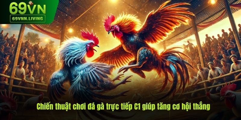 Chiến thuật chơi đá gà trực tiếp C1 từ cao thủ