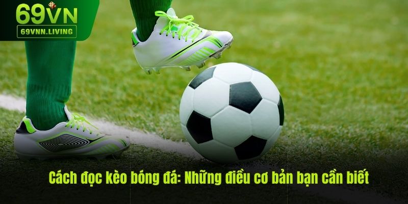 Hướng dẫn đọc kèo bóng đá về những điều cơ bản cần biết