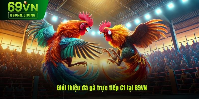 Giới thiệu hình thức đá gà trực tiếp C1 tại 69VN