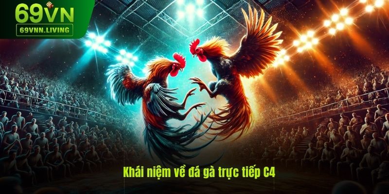 Giới thiệu về đá gà trực tiếp C4