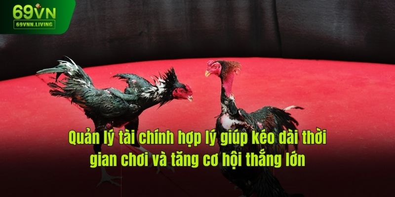 Quản lý tài chính hợp lý giúp kéo dài thời gian chơi và tăng cơ hội thắng lớn