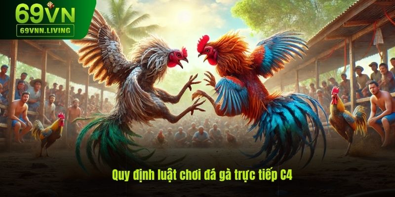 Hướng dẫn luật chơi đá gà trực tiếp C4